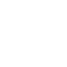 喂鸟