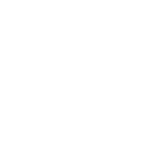 烈焰圣甲虫
