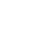 皇家鼠甲